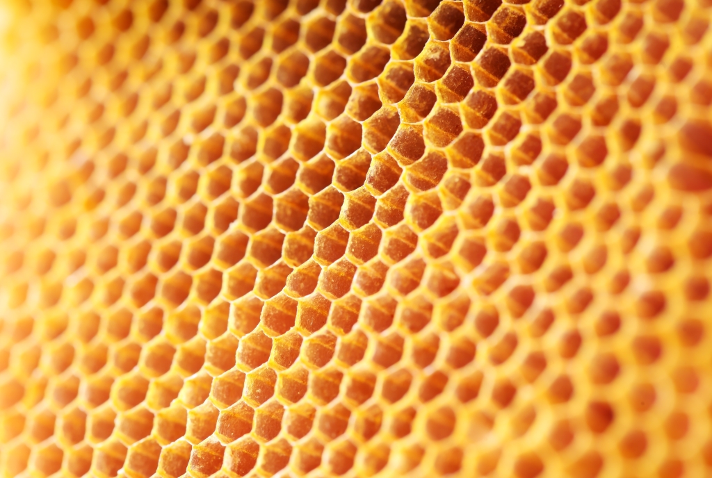 Bogn Engiadina Honey Massage in the Roman-Irish Bath